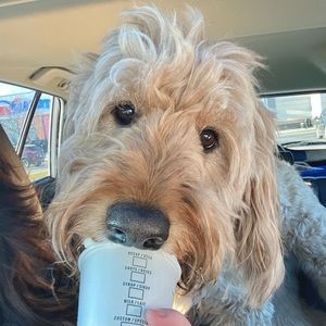 Meet your Posher, Leanne